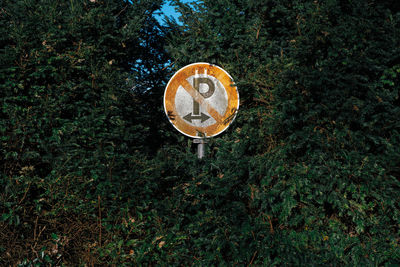 High angle view of information sign on tree trunk