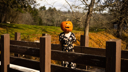 Rear view of woman standing by railing