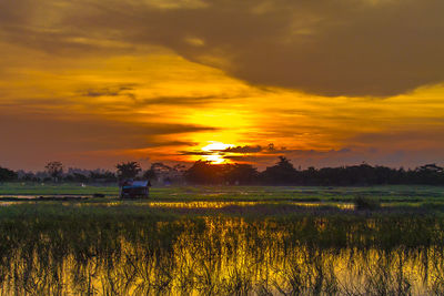 Scenic view of field against sky during sunset