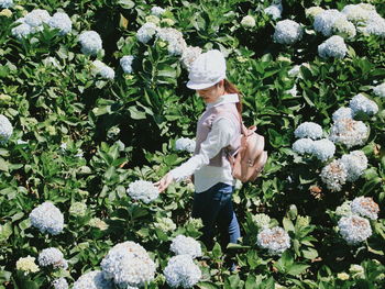 High angle view of woman standing amidst flowering plants