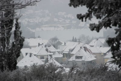 Houses and trees by buildings against sky during winter