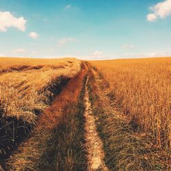 Scenic view of rural landscape