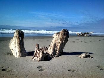 Driftwood on beach against sky