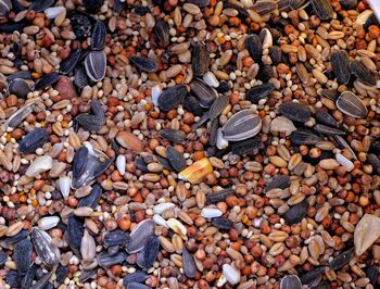 Full frame shot of pebbles on beach