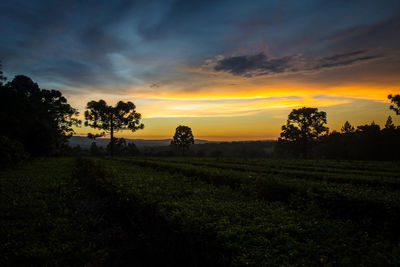 Scenic view of silhouette field against sky during sunset