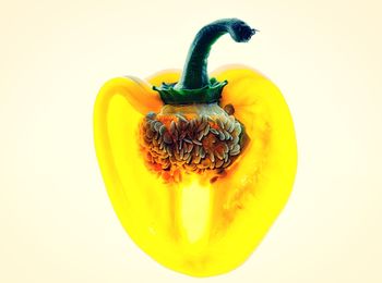 Directly above shot of yellow bell pepper against white background