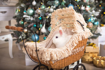 View of christmas tree in basket