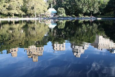 Reflection of trees in calm lake