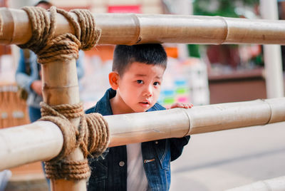 Portrait of boy standing by bamboo