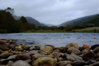 Close-up of pebbles on lake against sky