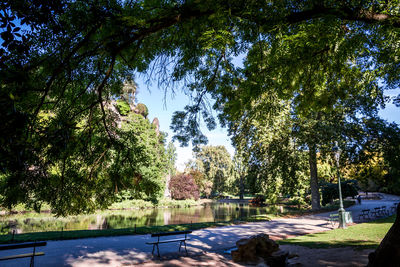 Trees in park against sky