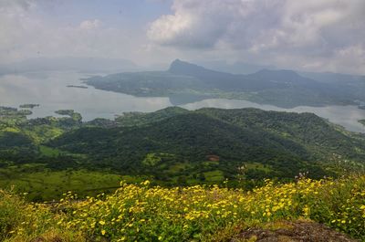 Scenic view of field and mountains against sky