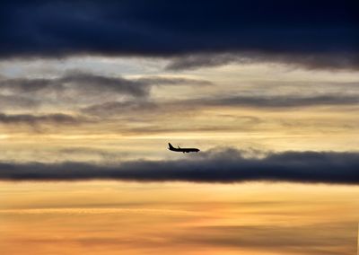 Low angle view of silhouette bird flying in sky