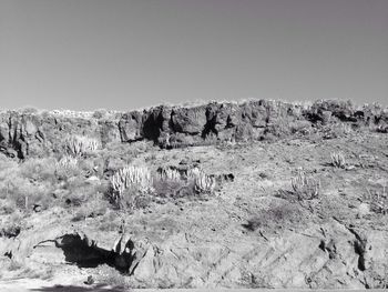 Scenic view of landscape against clear sky