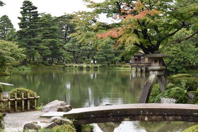 Scenic view of lake by trees