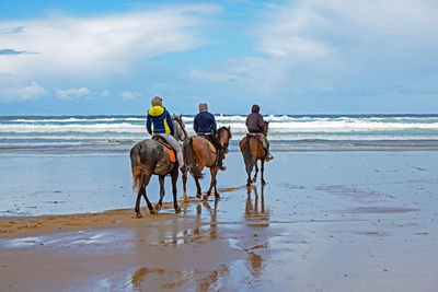 Horse riding horses on beach