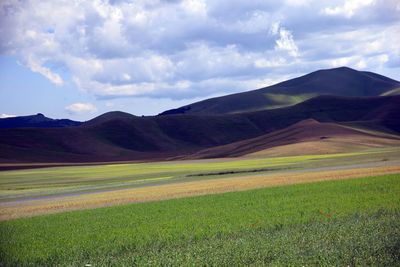 Scenic view of field against sky