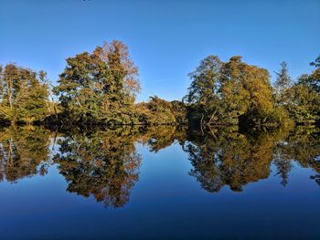 Reflection of trees in lake against clear blue sky