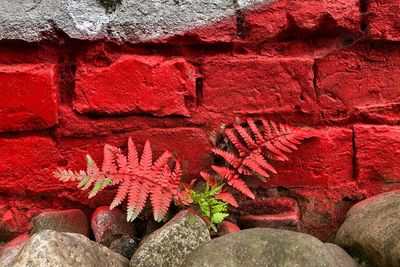 Full frame shot of red wall