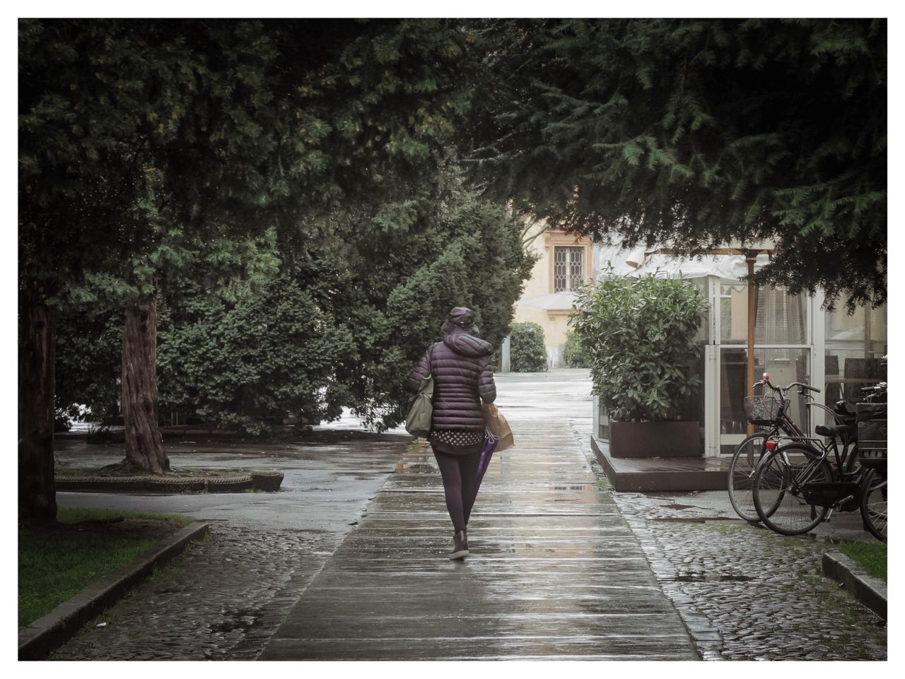 REAR VIEW OF WOMAN WALKING ON FOOTPATH IN RAINY SEASON