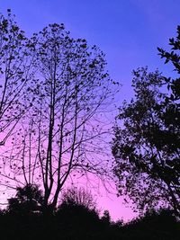 Low angle view of silhouette trees against blue sky