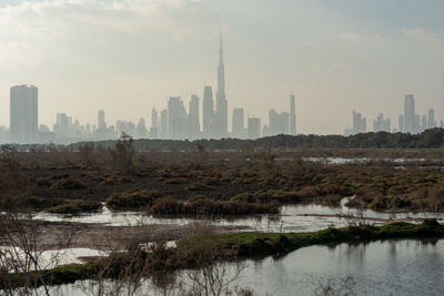 Flamingoes in ras al khor wildlife sanctuary, ramsar site, flamingo hide2, dubai, uae