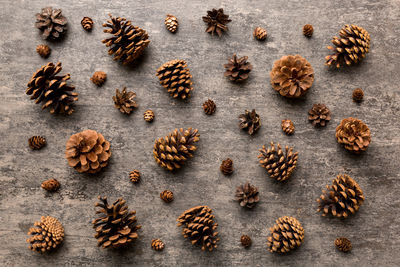 Pine cones on colored table. natural holiday background with pinecones grouped together. flat lay. 