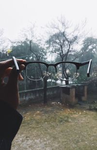 Close-up of hand holding eyeglasses against tree