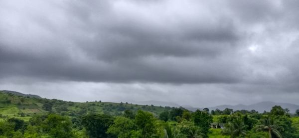 Scenic view of trees against cloudy sky