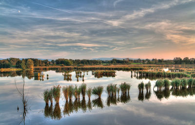 Reflection of trees in lake against sky