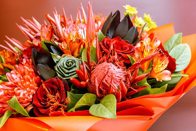 Close-up of red roses on plant