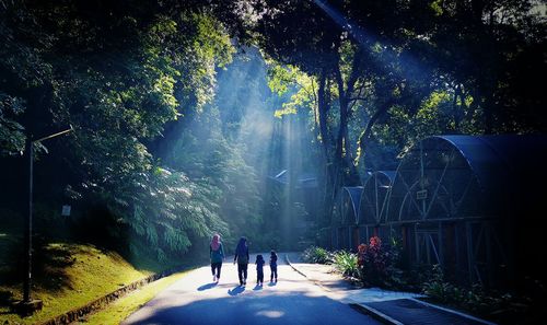 Rear view of people walking on road amidst trees