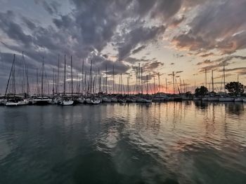 Sailboats in marina at sunset