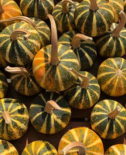 Full frame shot of pumpkins for sale at market stall