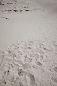 High angle view of sand dune on beach