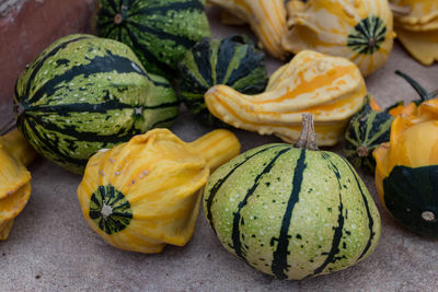 High angle view of pumpkins