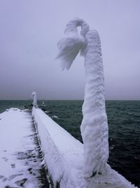 Seagull by sea against sky during winter