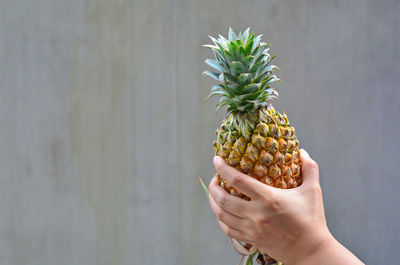 Midsection of person holding apple against wall