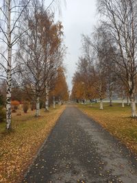 Road amidst trees against sky during autumn