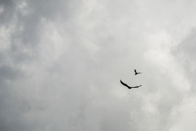 Low angle view of airplane flying against cloudy sky