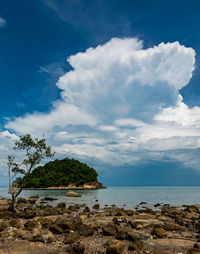 Scenic view of sea against sky