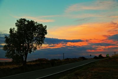 Trees against sky during sunset