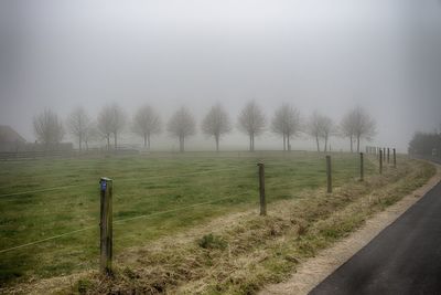 Scenic view of landscape against sky