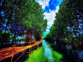 Bridge over river amidst trees in forest against sky