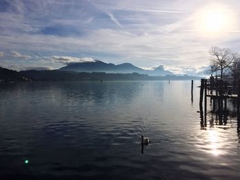 Swan swimming in lake against sky during sunset