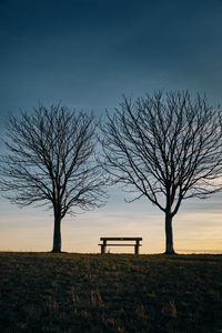 Bare tree on field against sky at sunset