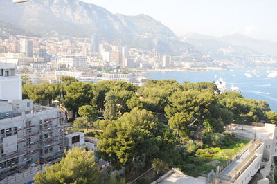 High angle view of buildings and trees in city