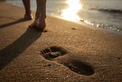 Low section of person walking on shore at beach