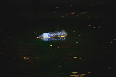 Low angle view of illuminated christmas lights at night