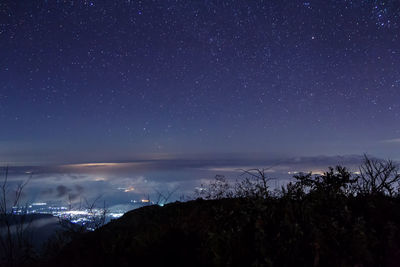 Scenic view of trees against sky at night